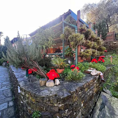 Holiday home La Baita Di San Massimo Rapallo